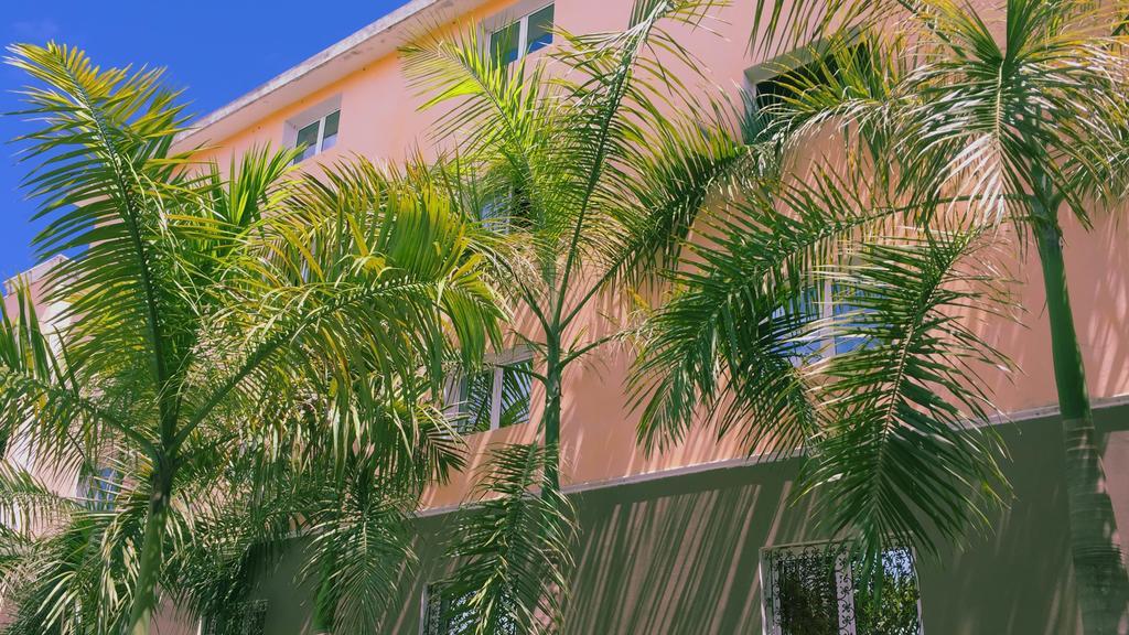 Marimba Hotel